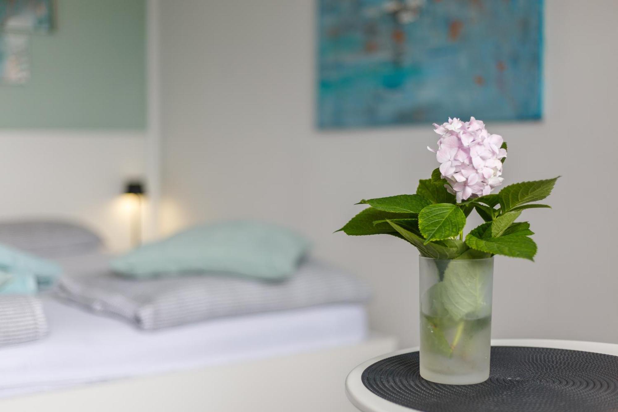 קריקווניצה Ana Apartment מראה חיצוני תמונה